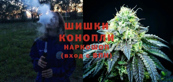 прущие крисы Бородино