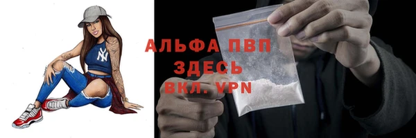 прущие крисы Бородино