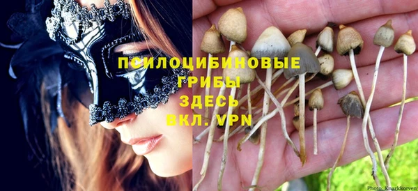 прущие крисы Бородино