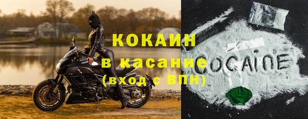 прущие крисы Бородино