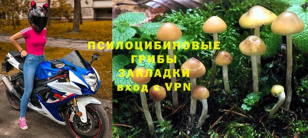 хмурый Бронницы